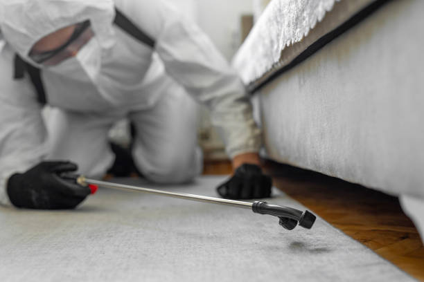 Professional Cockroach Control technician working in Naples Park, FL